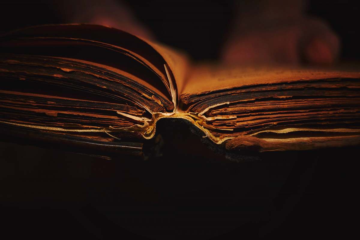 romania person reading book book